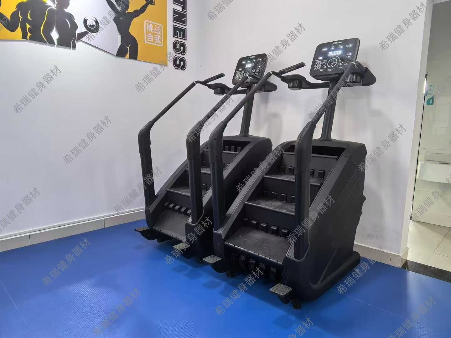 Commercial Cardio Equipment Ex - Home Gym Used recension och pris