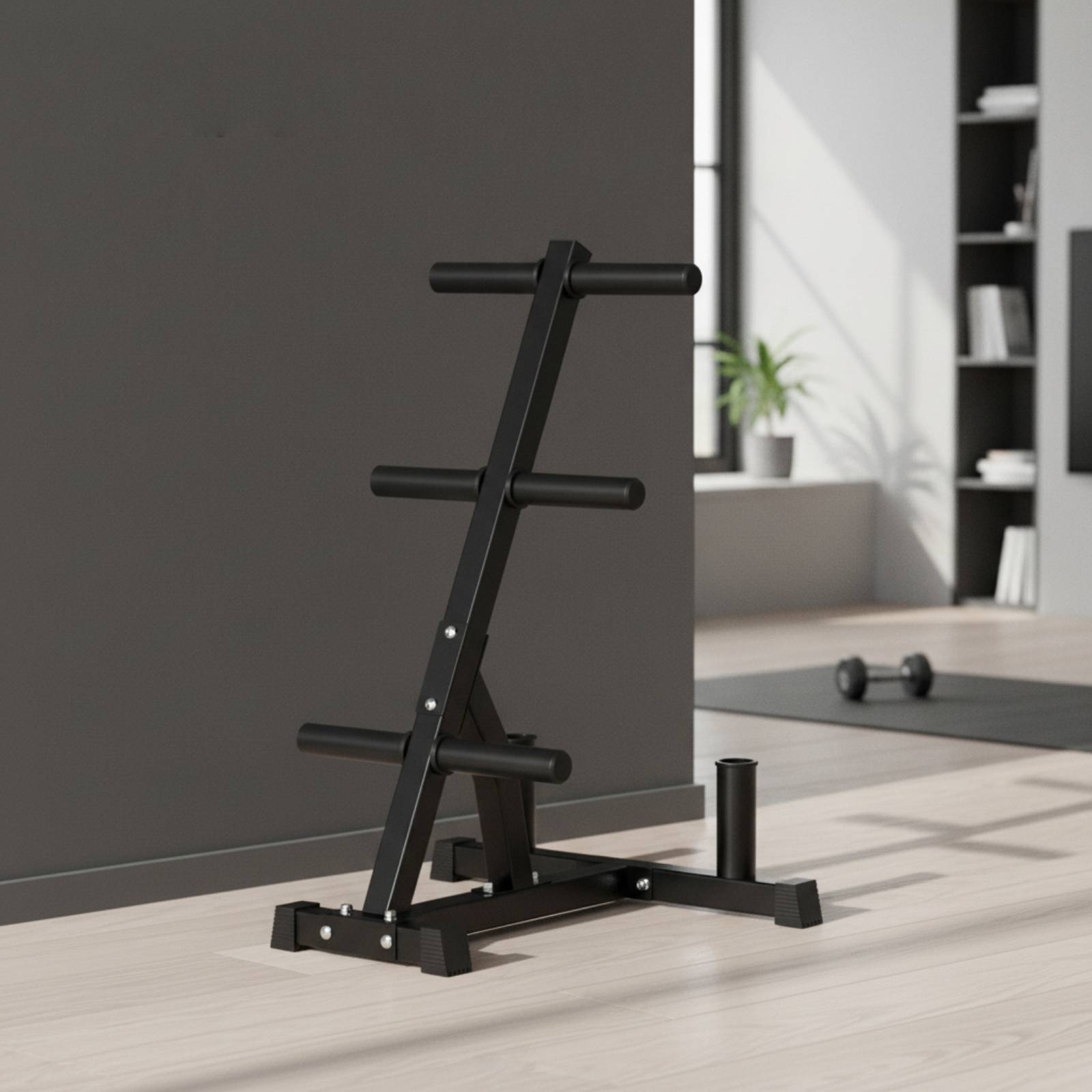 Barbell Plate Rack Space-Savin - Home Gym Folding Rack recension och pris