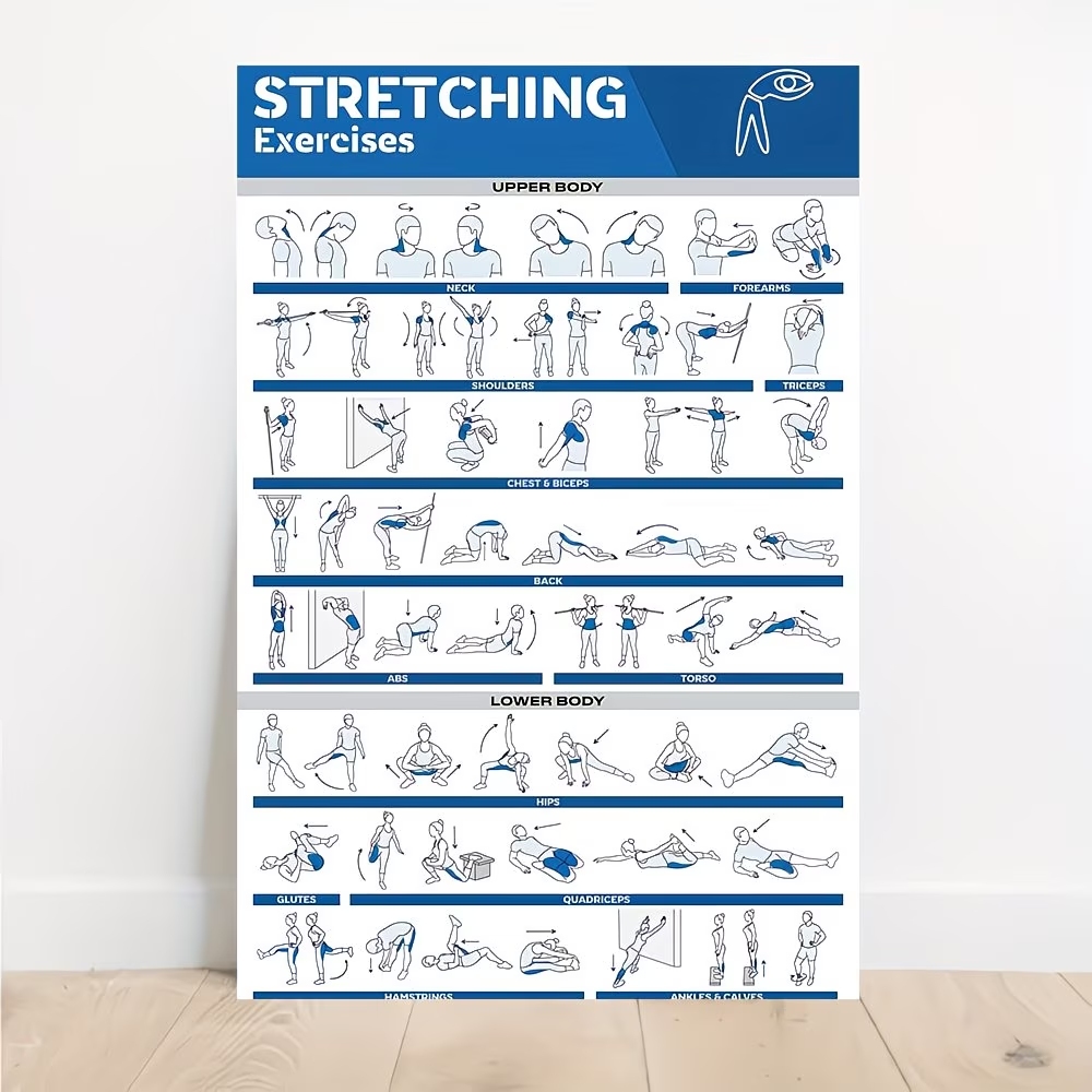 Modern Labeled Full-Body Stret - Home Gym Full Body recension och pris
