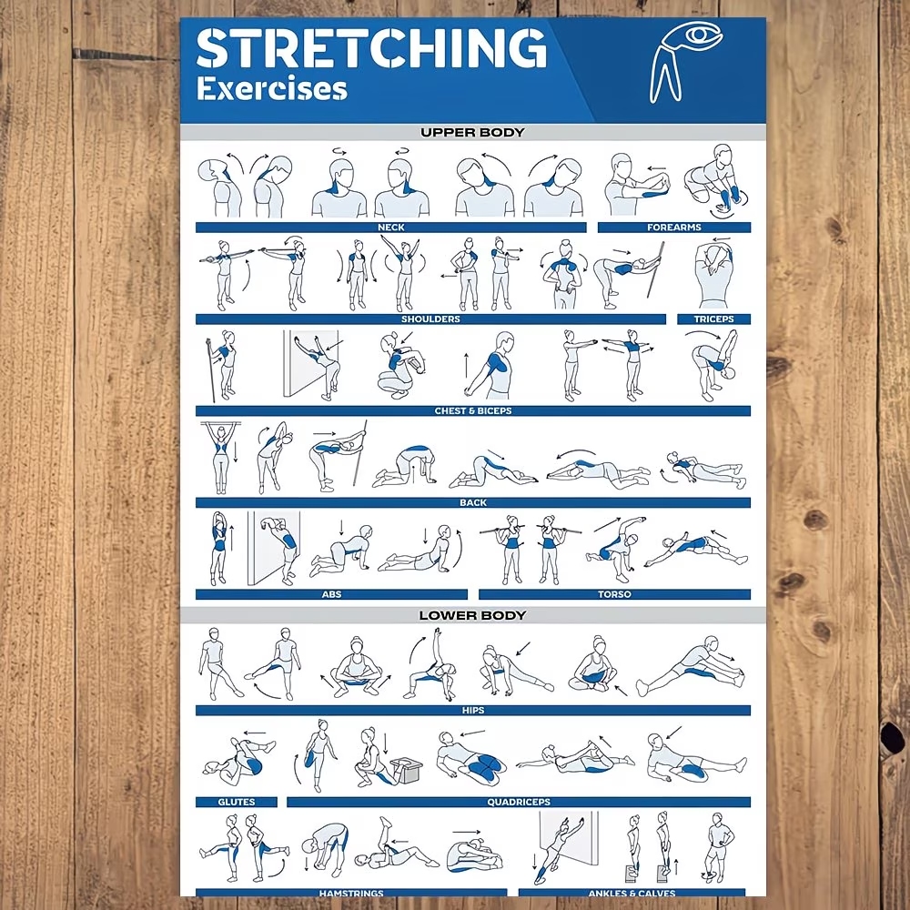 Modern Labeled Full-Body Stret - Home Gym Full Body recension och pris