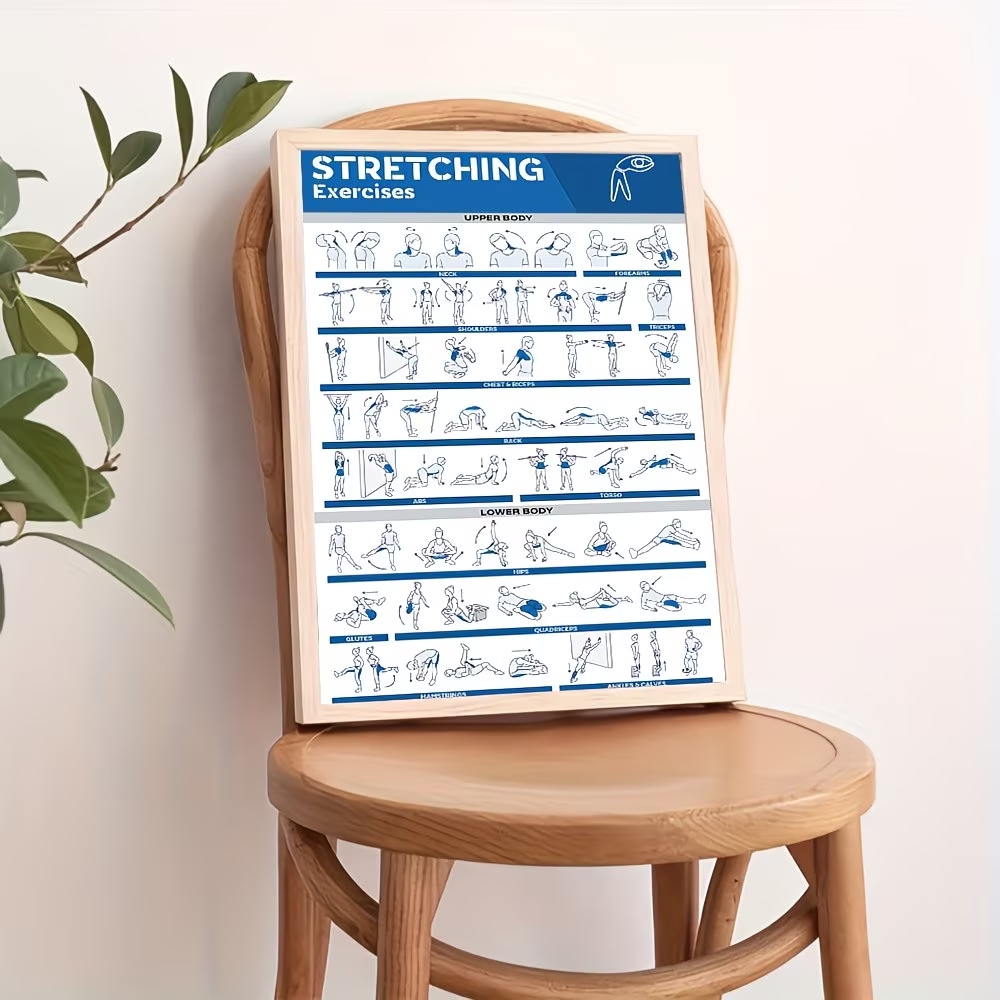 Modern Labeled Full-Body Stret - Home Gym Full Body recension och pris